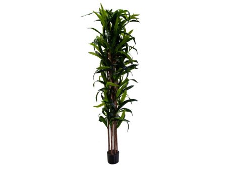 Pianta Dracaena artificiale da interno con vaso fondo cemento 198 cm - Vacchetti Cheap