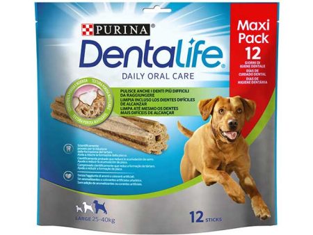 Purina dentalife m.pack l 426gr 14036 Hot on Sale