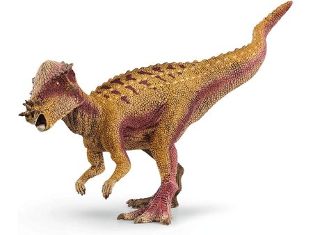 Pachycephalosaurus For Discount