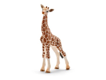 Cucciolo di giraffa Online Sale